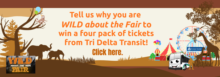 County Fair ad for winning tickets. Safari scene with carnival and elephants and giraffes.